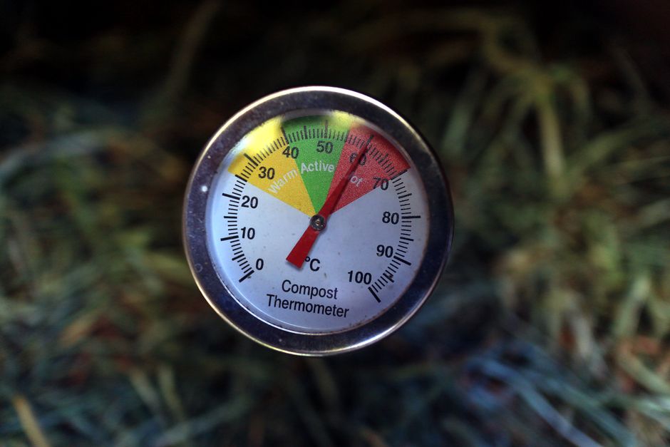 Close-up of a compost thermometer showing active temperature in a compost pile.